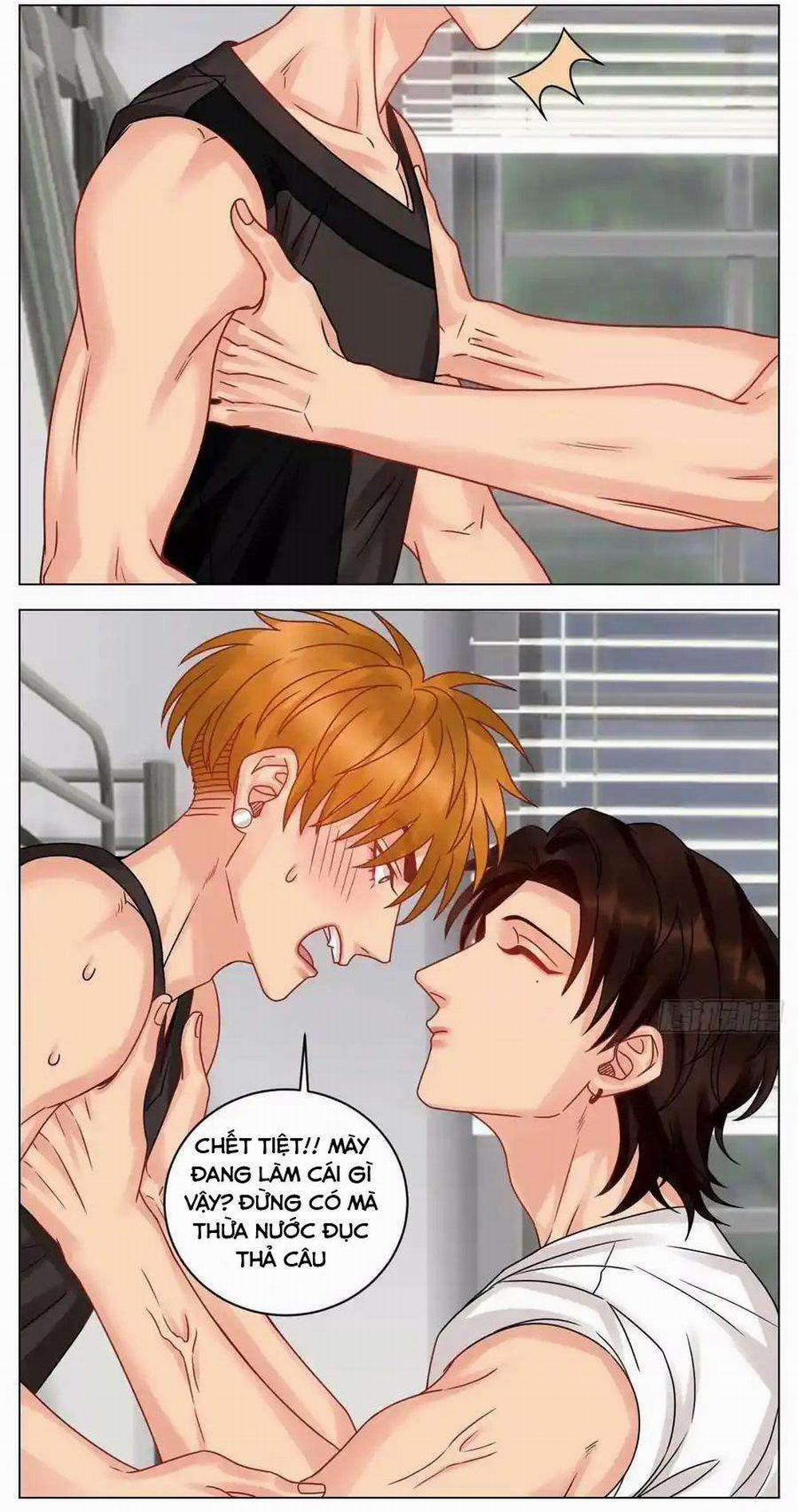 manhwax10.com - Truyện Manhwa Ký túc xá nam phòng 303 Chương 217 Trang 5