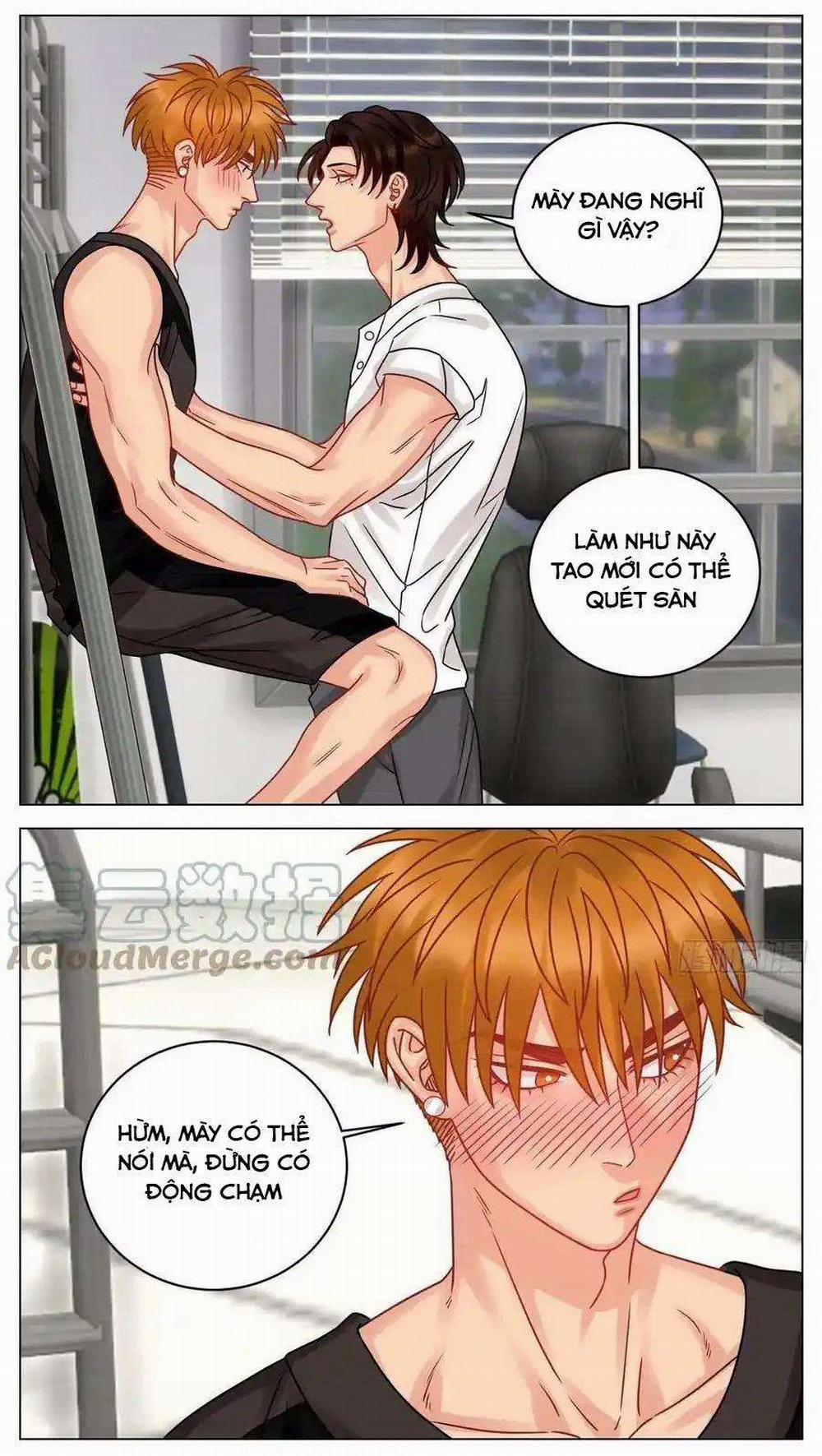 manhwax10.com - Truyện Manhwa Ký túc xá nam phòng 303 Chương 217 Trang 6