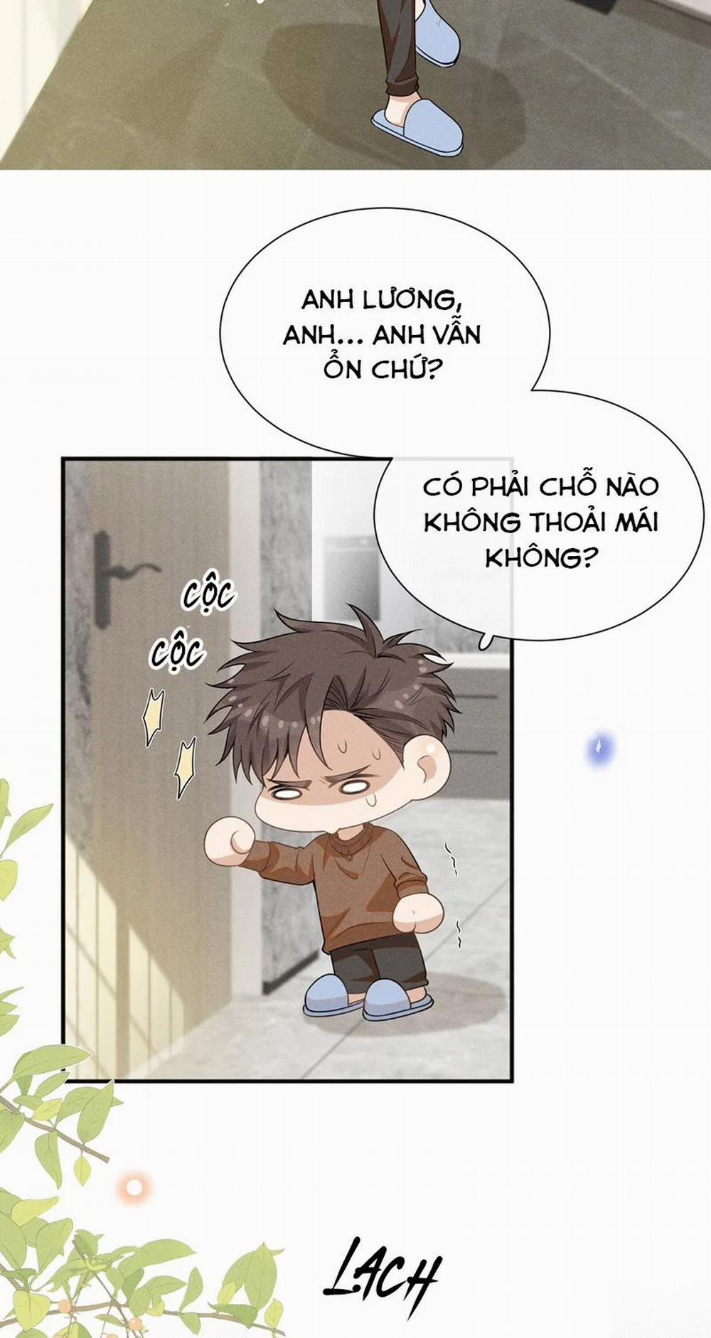 manhwax10.com - Truyện Manhwa Lai Sinh Bất Kiến Chương 115 Trang 4