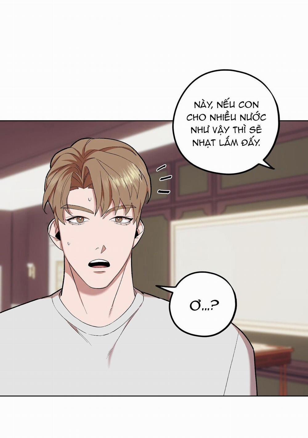 manhwax10.com - Truyện Manhwa Làm dâu nhà tài phiệt họ Kang Chương 69 Trang 17