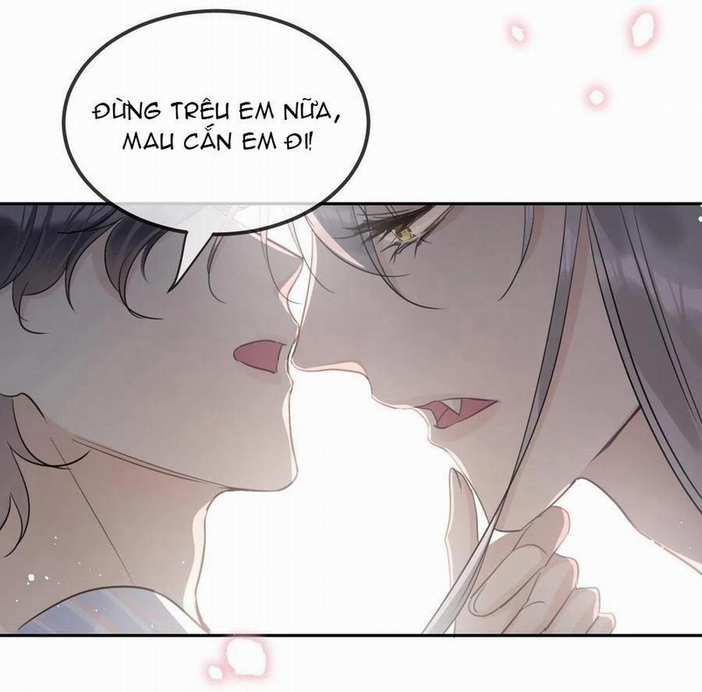 manhwax10.com - Truyện Manhwa Lang Sói Thượng Khẩu Chương 29 Trang 19