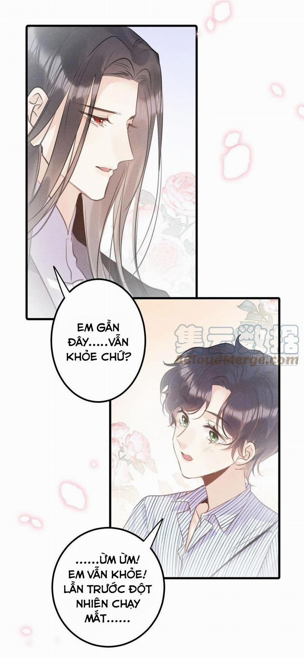 manhwax10.com - Truyện Manhwa Lang Sói Thượng Khẩu Chương 33 Trang 14