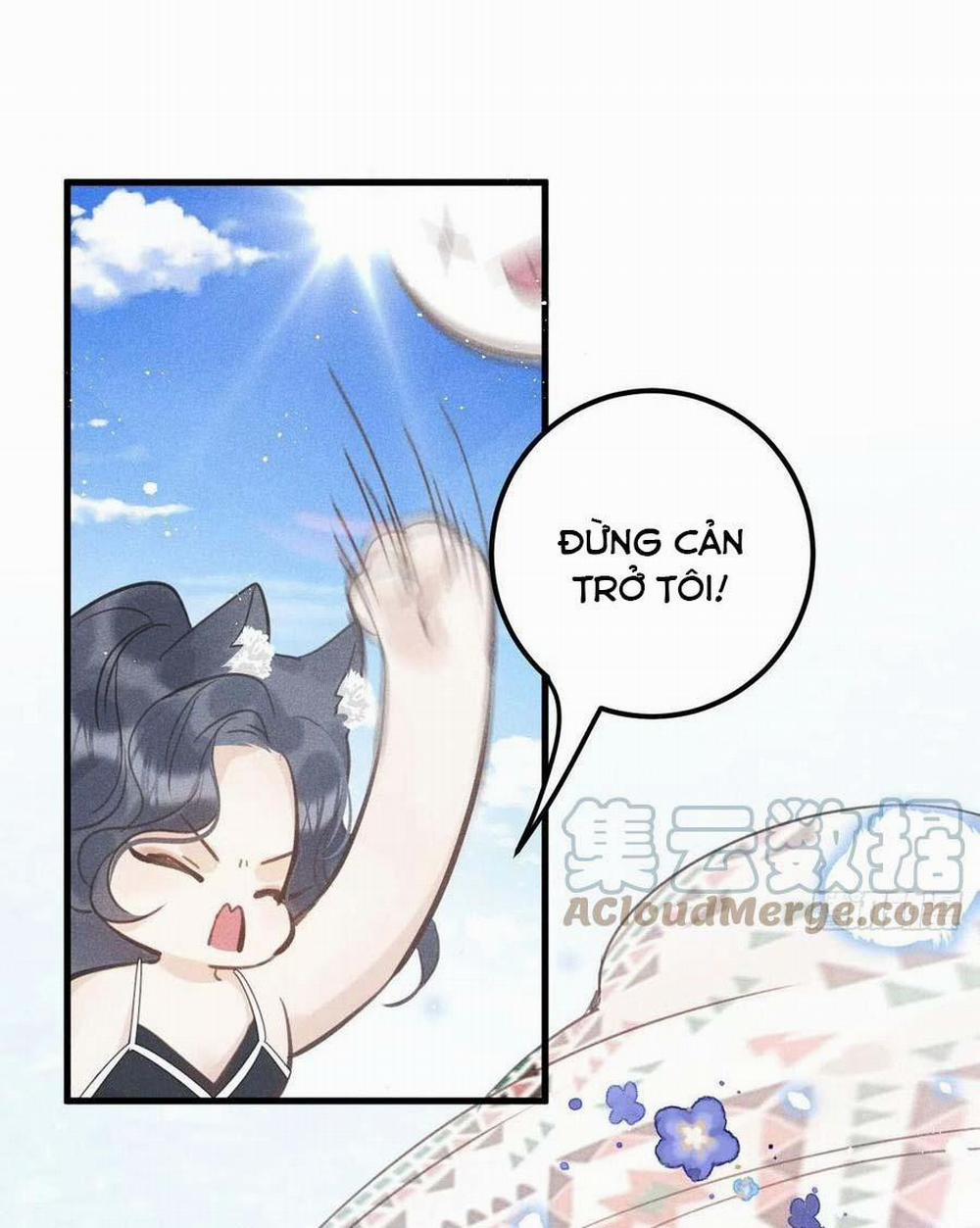 manhwax10.com - Truyện Manhwa Lang Sói Thượng Khẩu Chương 35 Trang 19