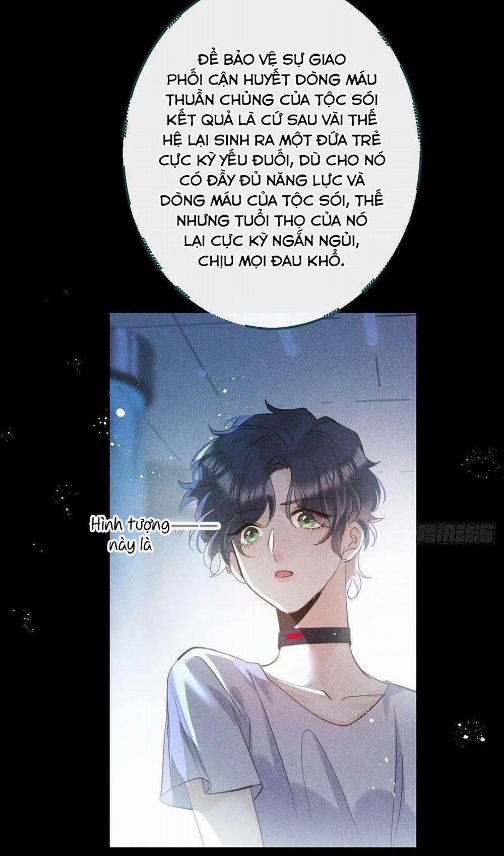 manhwax10.com - Truyện Manhwa Lang Sói Thượng Khẩu Chương 55 Trang 5