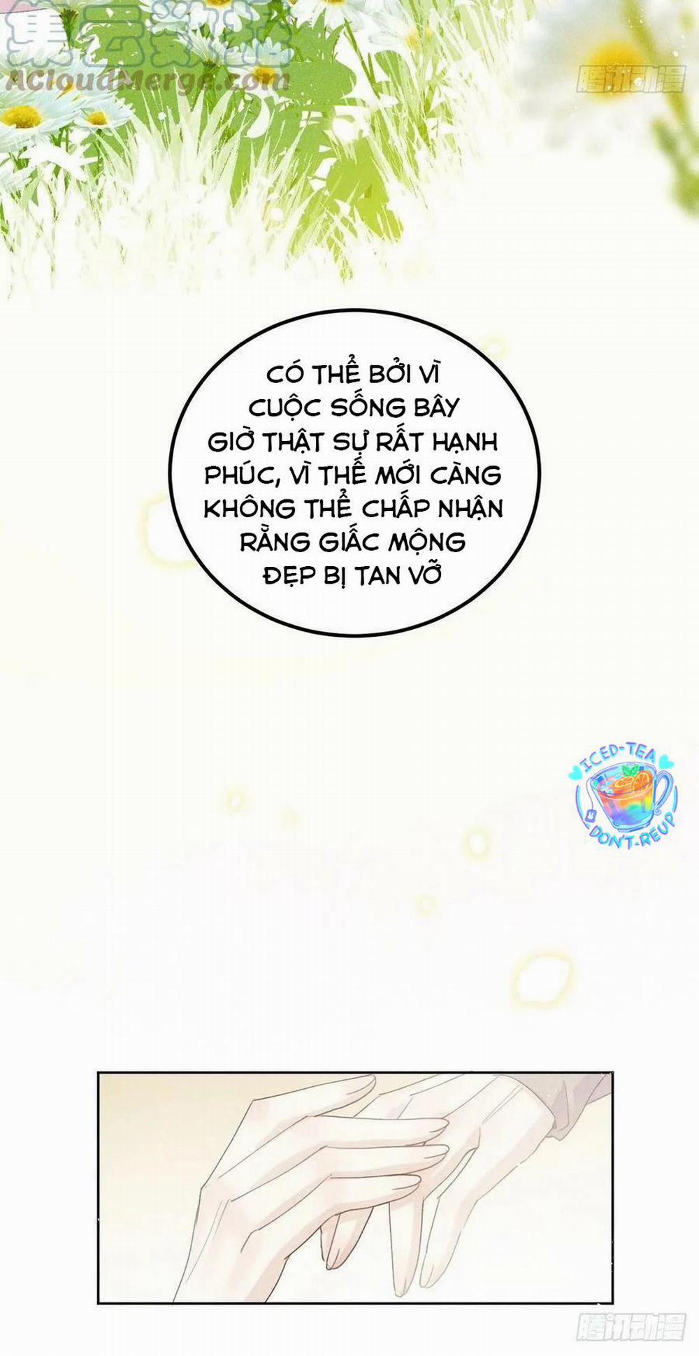 manhwax10.com - Truyện Manhwa Lang Sói Thượng Khẩu Chương 60 Trang 9