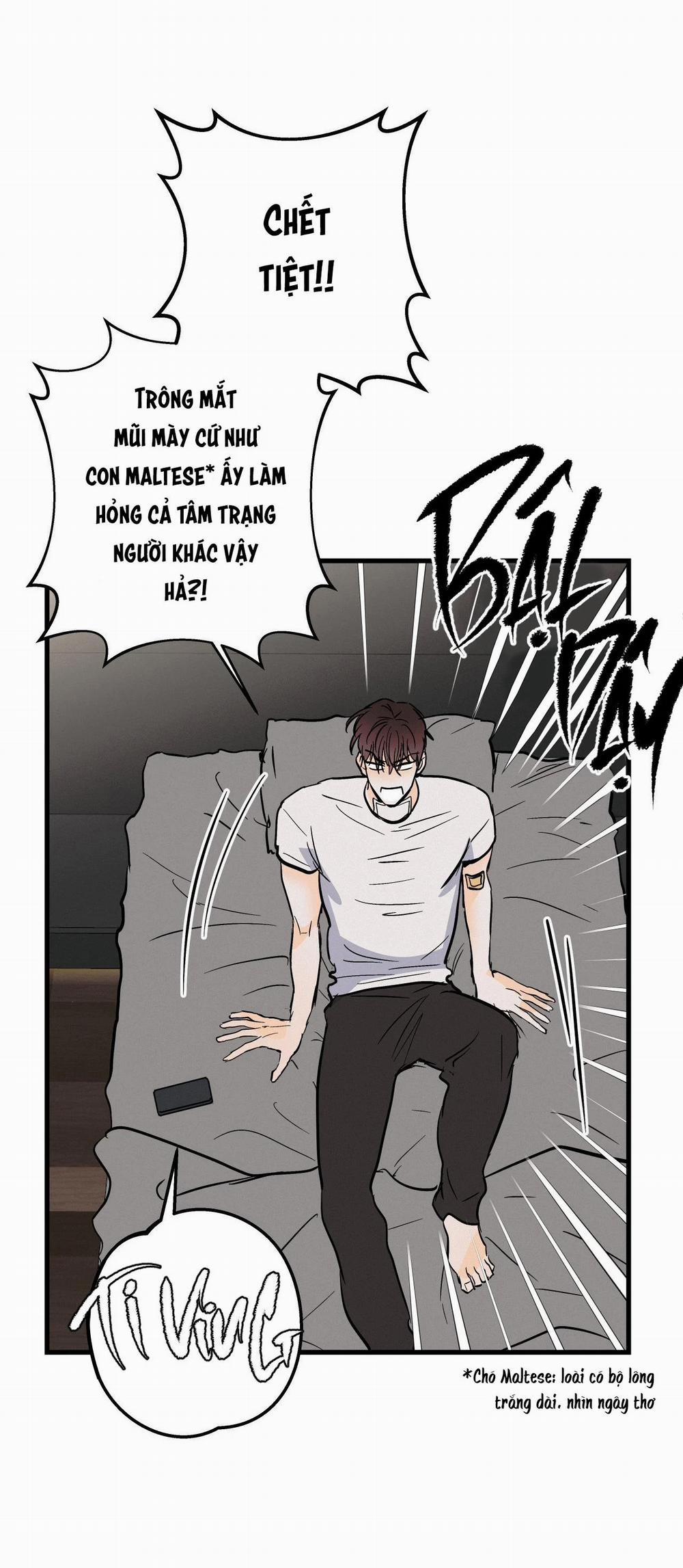 manhwax10.com - Truyện Manhwa LIE AGAIN Chương 15 Trang 52