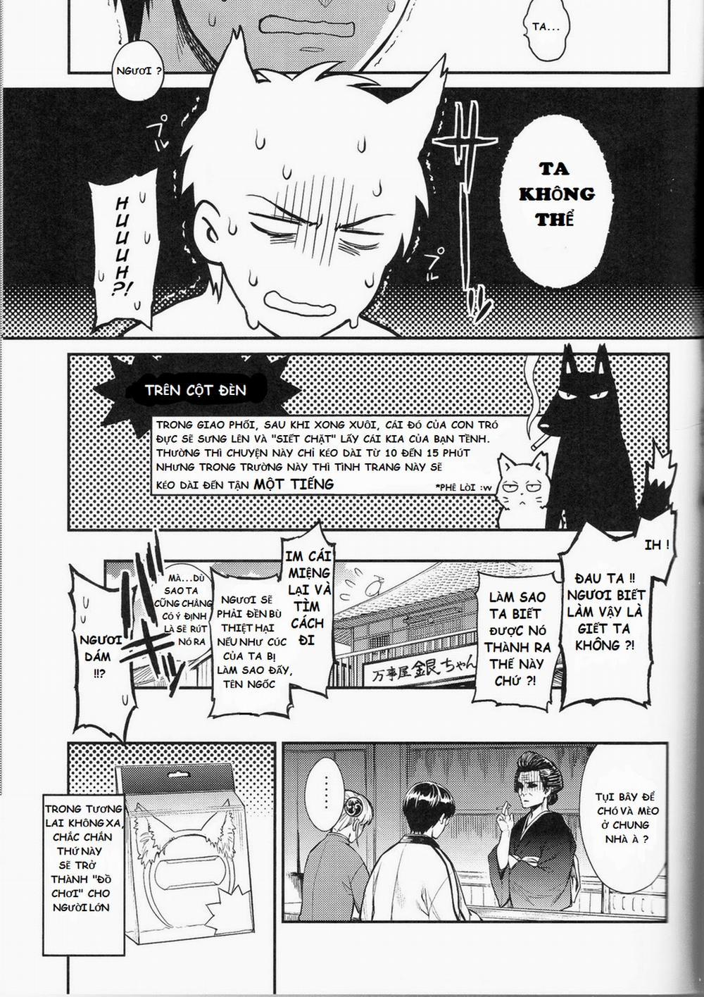 manhwax10.com - Truyện Manhwa Like Cat And Dog (Gintama) Chương Oneshot Trang 29