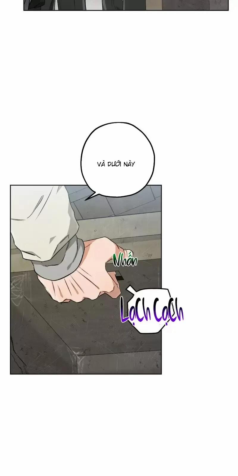 manhwax10.com - Truyện Manhwa Liveta Chương 62 Trang 12