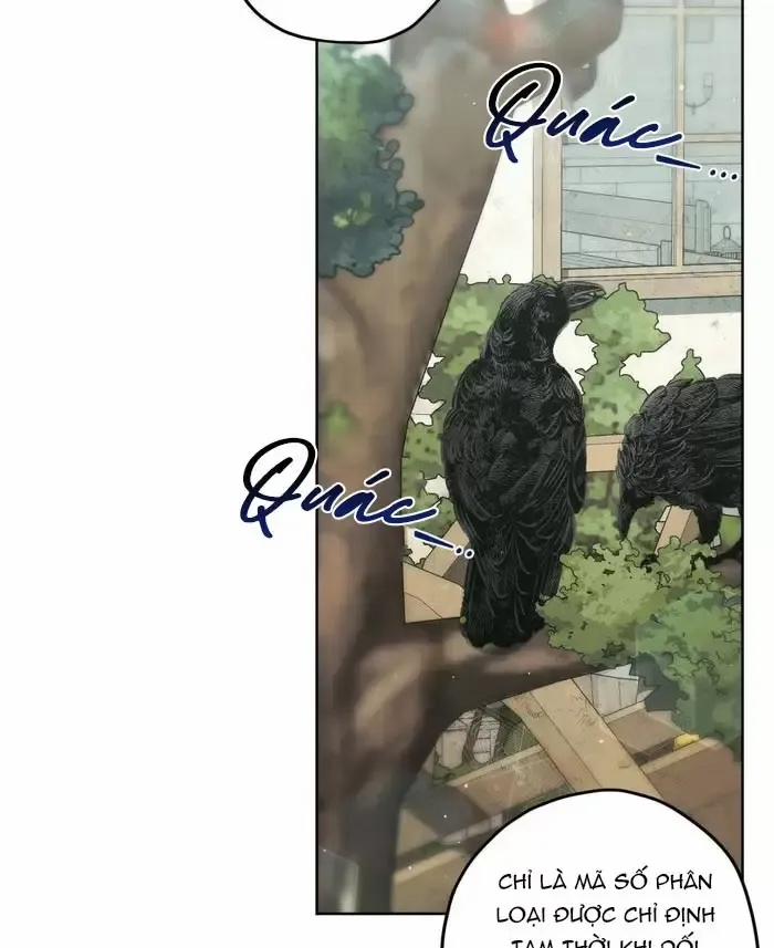 manhwax10.com - Truyện Manhwa Liveta Chương 65 Trang 64