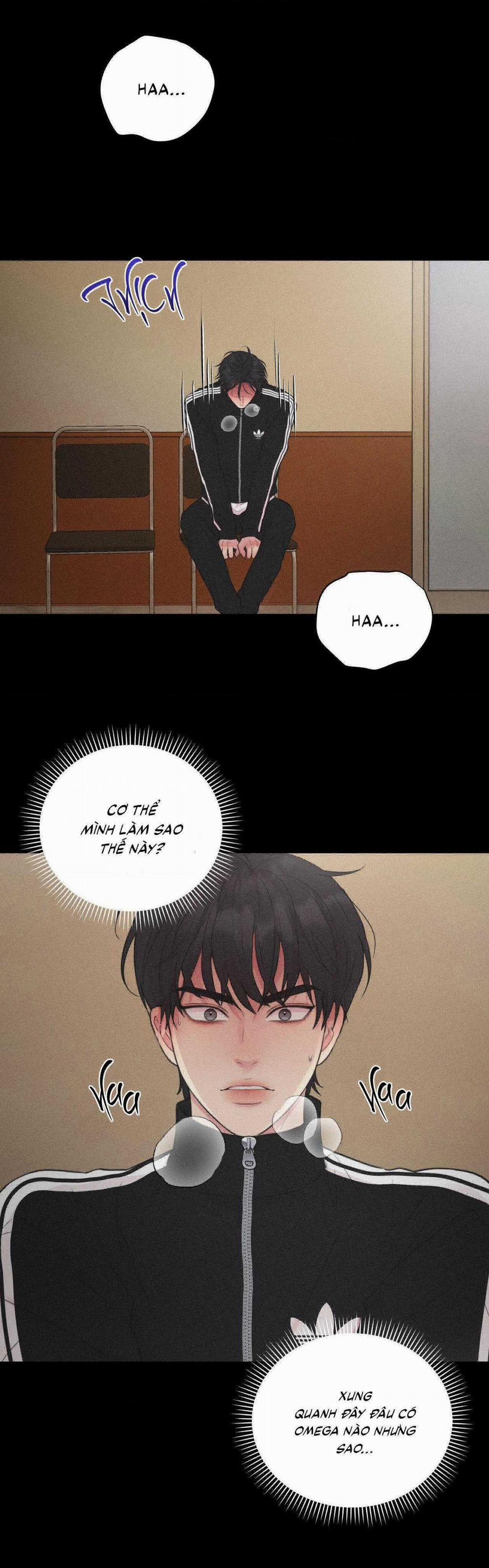 manhwax10.com - Truyện Manhwa Love Remedy Chương 5 Trang 5