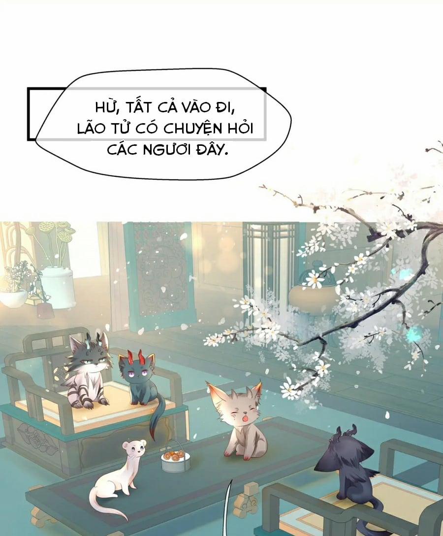 manhwax10.com - Truyện Manhwa Ma Tôn Muốn Ôm Ôm (Phần 2) Chương 24 Trang 80