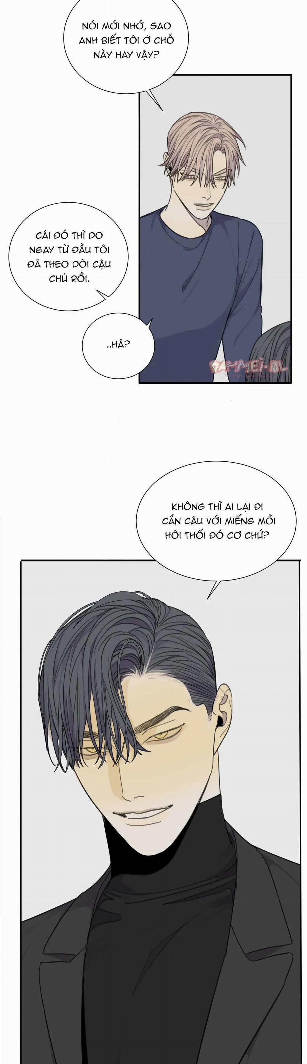 manhwax10.com - Truyện Manhwa Mad Dog Chương 41 Trang 7