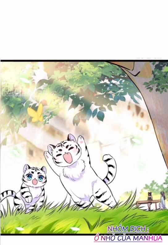 manhwax10.com - Truyện Manhwa Manh Động Thú Thế Chương 407 Trang 11