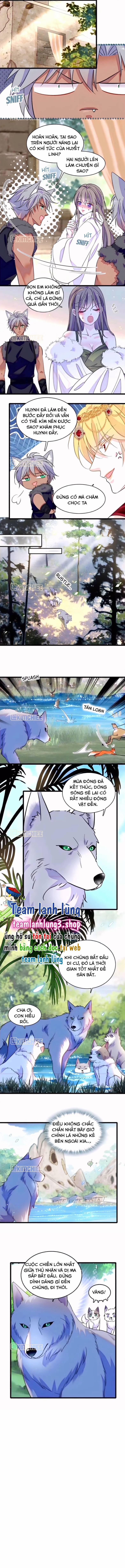 manhwax10.com - Truyện Manhwa Manh Động Thú Thế Chương 429 Trang 3