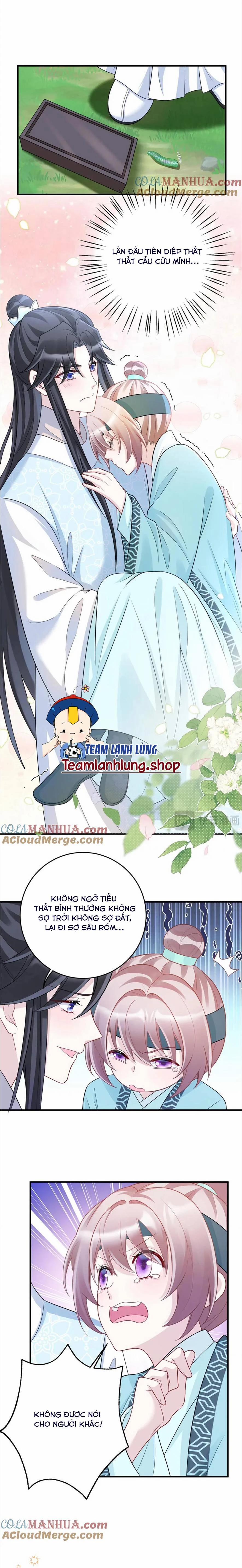 manhwax10.com - Truyện Manhwa Manh Phi Thất Thất Chương 41 Trang 8