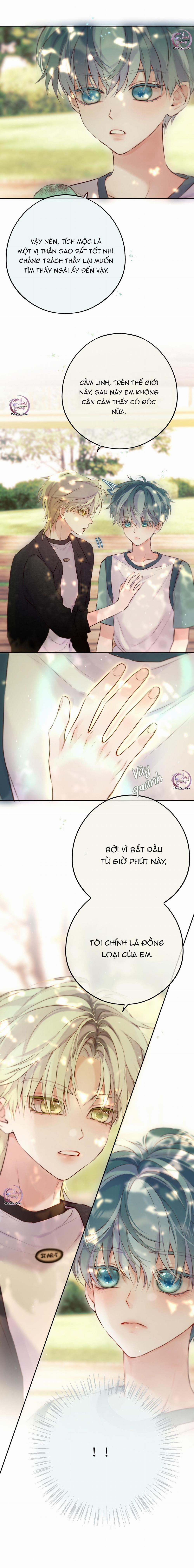 manhwax10.com - Truyện Manhwa Mắt Của Hành Tinh Chương 16 Trang 13