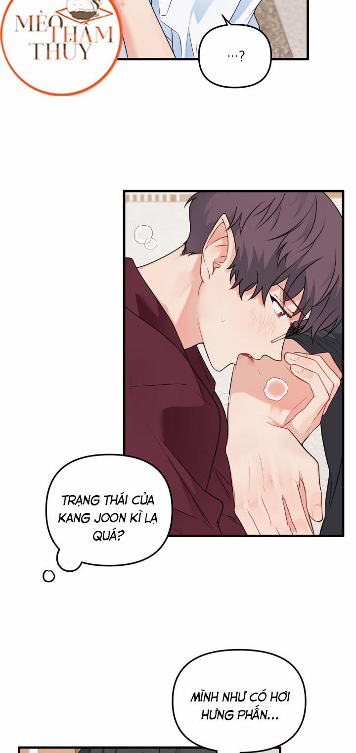 manhwax10.com - Truyện Manhwa Máu Và Tình Yêu Chương 41 Trang 31