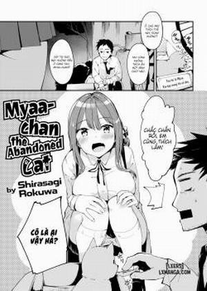 Miyaa-chan The Abandoned Cat