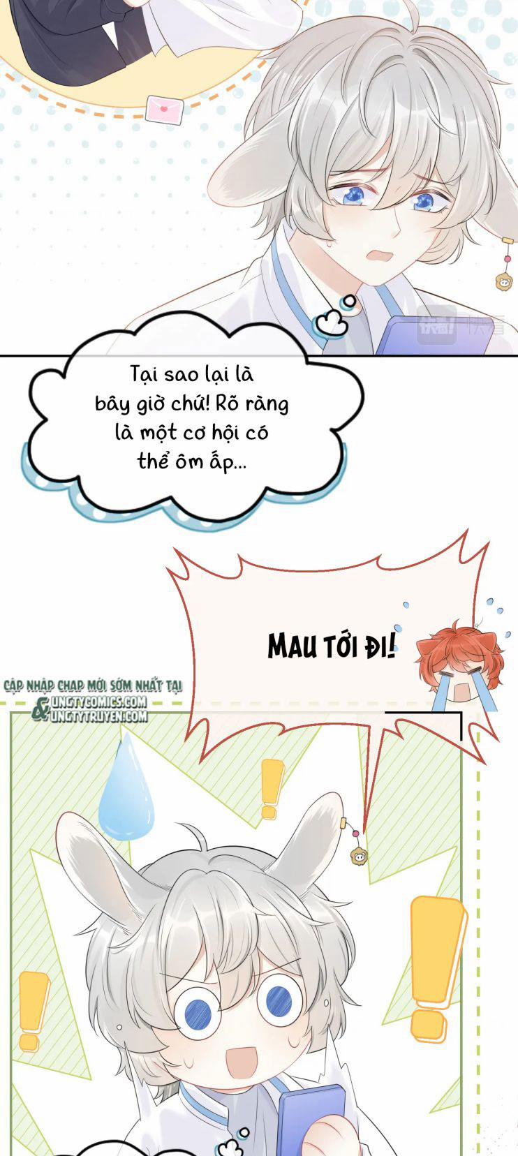 manhwax10.com - Truyện Manhwa Một Ngụm Nuốt Trọn Thỏ Con Chương 48 Trang 6