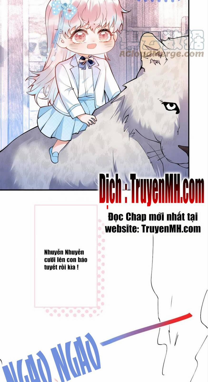 manhwax10.com - Truyện Manhwa Nam Thành Chờ Trăng Về Chương 282 Trang 6