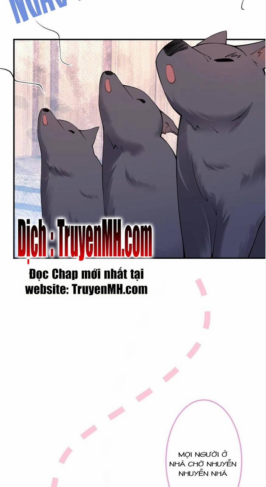 manhwax10.com - Truyện Manhwa Nam Thành Chờ Trăng Về Chương 282 Trang 7