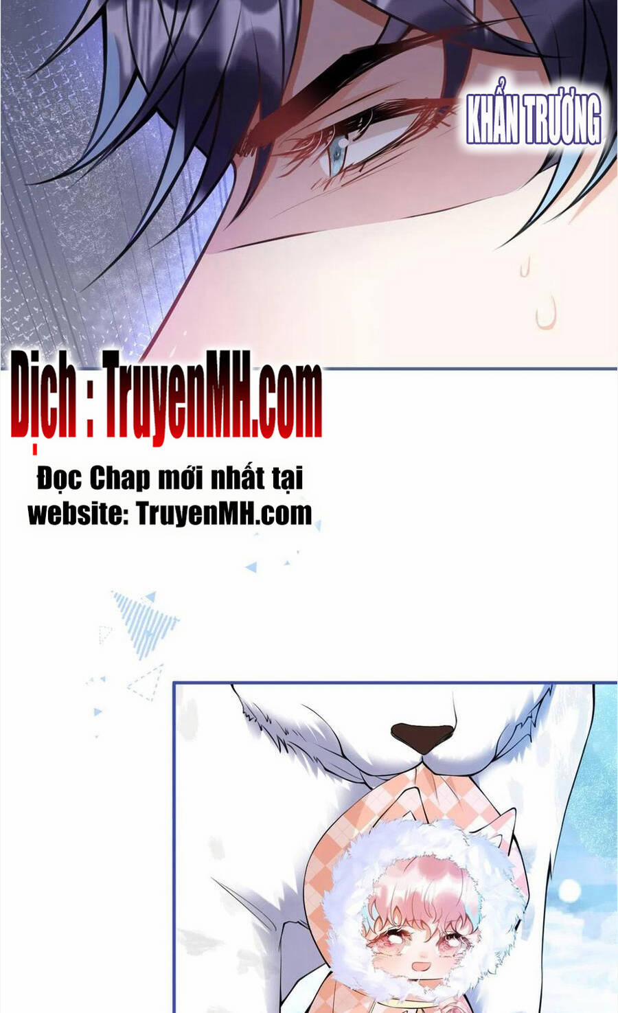 manhwax10.com - Truyện Manhwa Nam Thành Chờ Trăng Về Chương 294 Trang 12