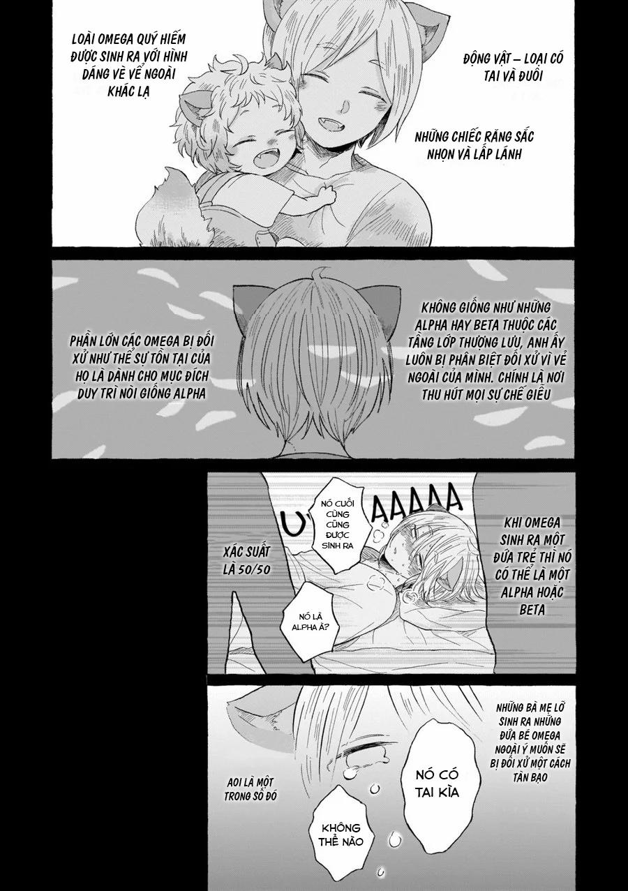 manhwax10.com - Truyện Manhwa Neko Mimi Omegaverse Chương 1 1 Trang 3