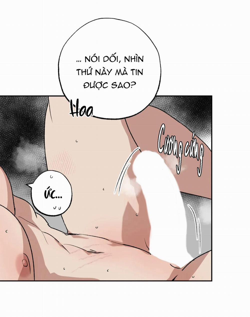 manhwax10.com - Truyện Manhwa NEW ROMANCE Chương 20 Trang 2