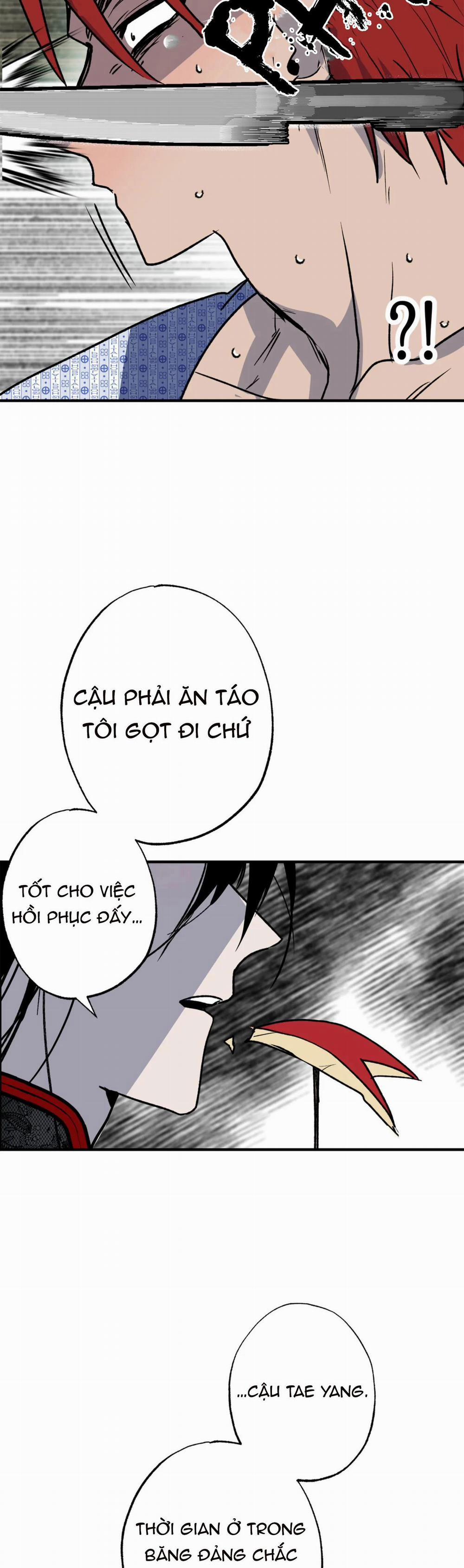 manhwax10.com - Truyện Manhwa NEW ROMANCE Chương 28 NGO I TRUY N 1 Trang 5