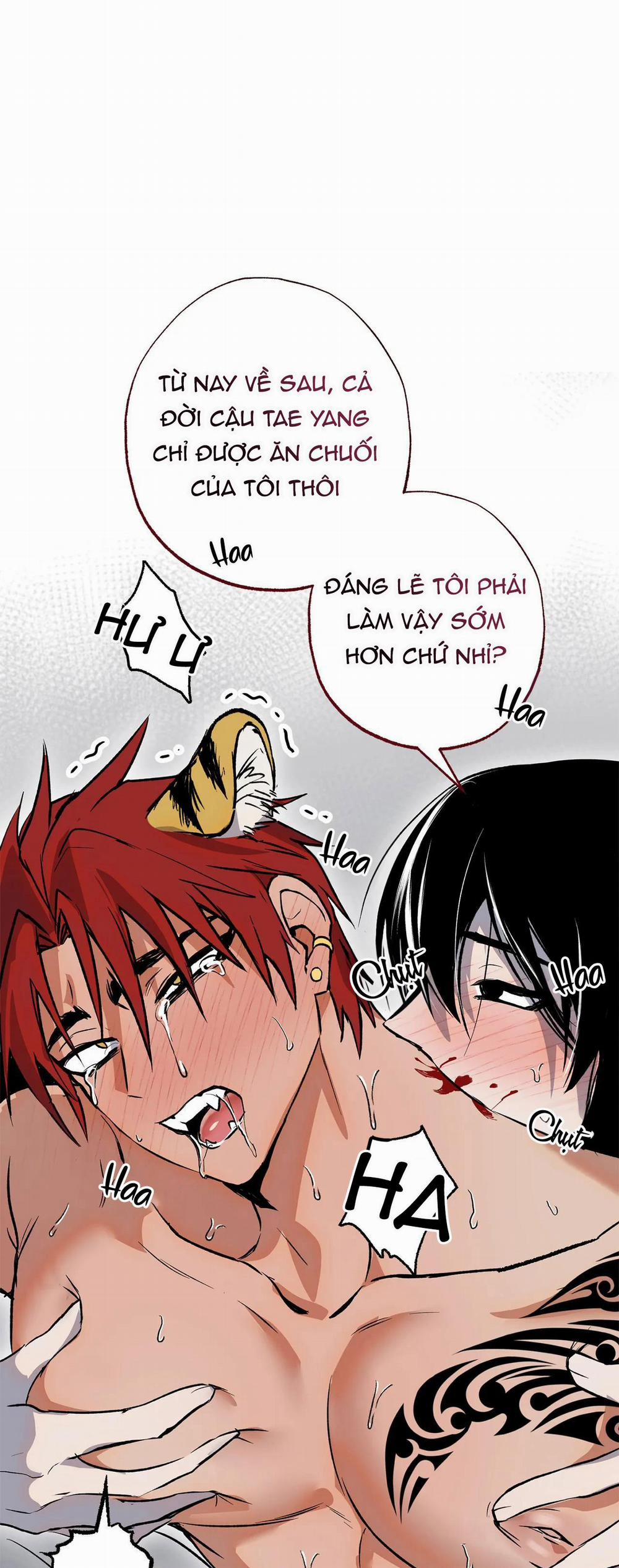 manhwax10.com - Truyện Manhwa NEW ROMANCE Chương 30 Trang 2