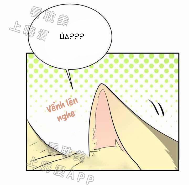 manhwax10.com - Truyện Manhwa Ngày tháng sống chung với Dữ Bố Lữ Chương 15 Trang 19