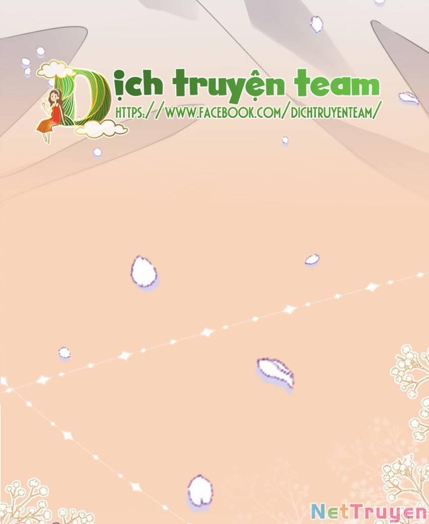 manhwax10.com - Truyện Manhwa Nghe Nói Tôi Rất Nghèo Chương 134 Trang 6