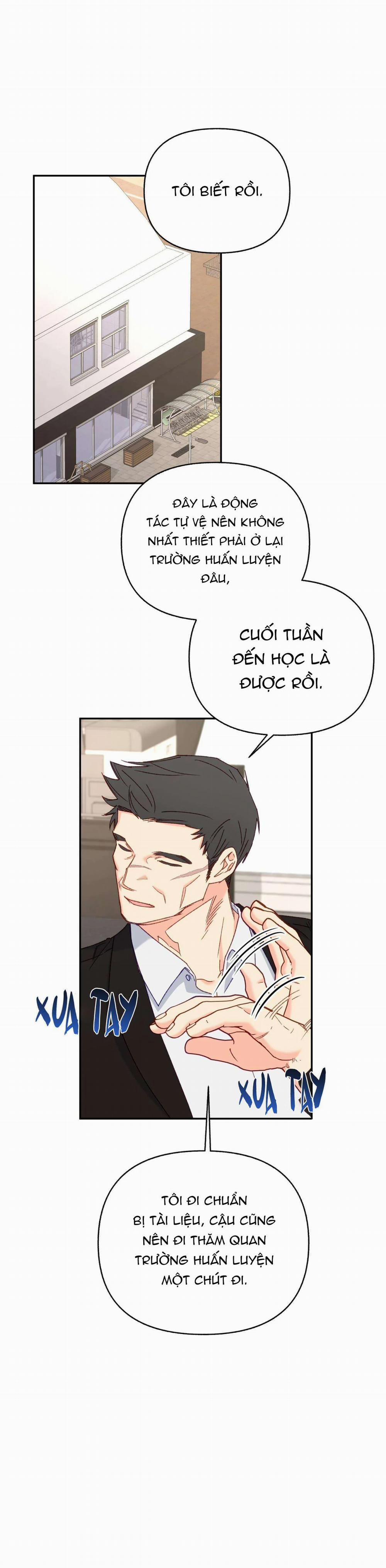 manhwax10.com - Truyện Manhwa Người Bình Thường Cấp A Chương 33 Trang 24