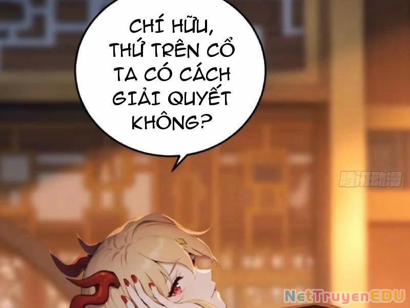 manhwax10.com - Truyện Manhwa Ngươi Làm Bộ Tu Luyện Đi! Chương 84 Trang 2