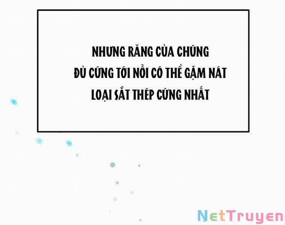 manhwax10.com - Truyện Manhwa Người Mới Này Quá Mạnh Chương 2 Trang 118