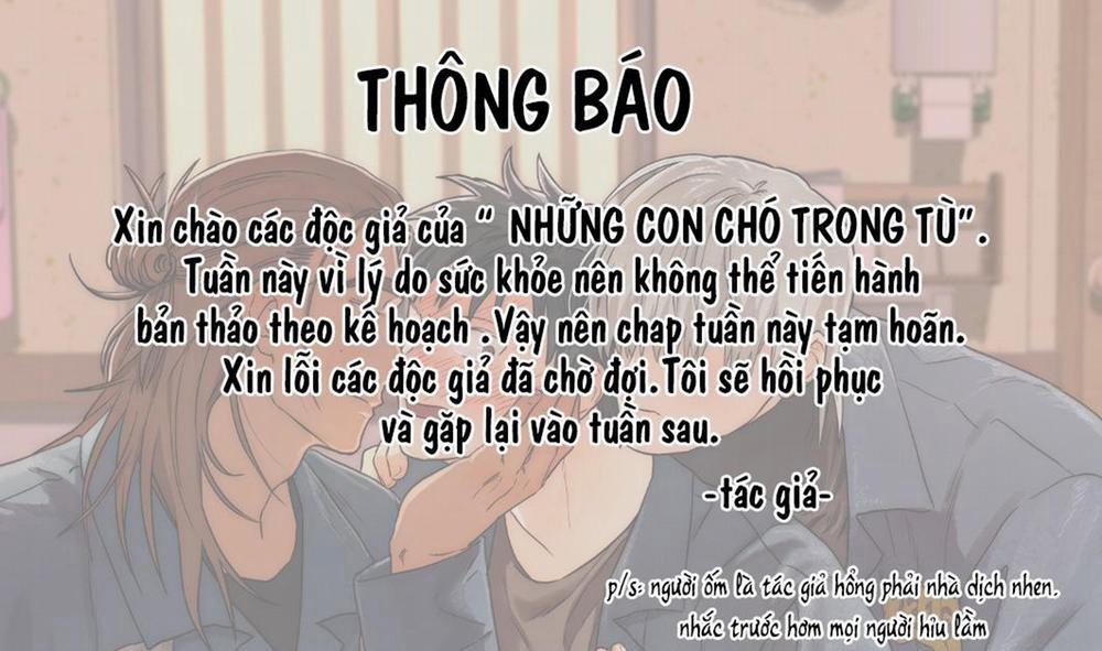 manhwax10.com - Truyện Manhwa Những Con Chó Trong Tù Chương 19 TH NG B O HO N Trang 1