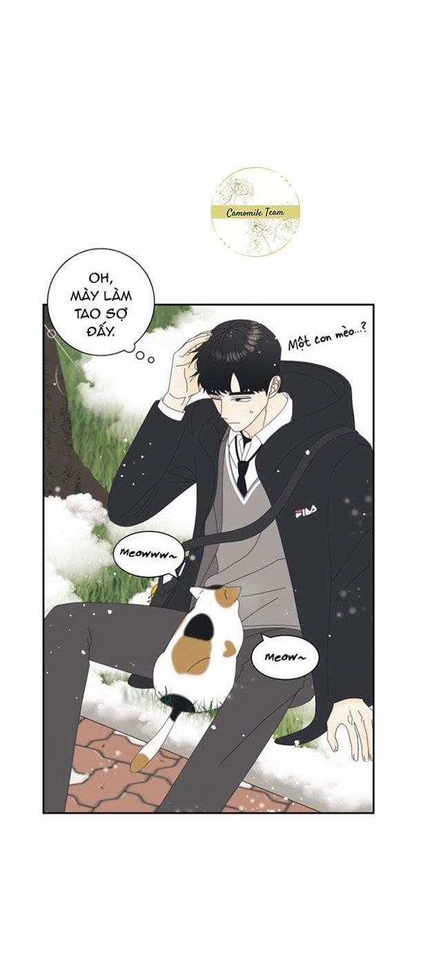 manhwax10.com - Truyện Manhwa No Kidding Chương 1 Trang 6