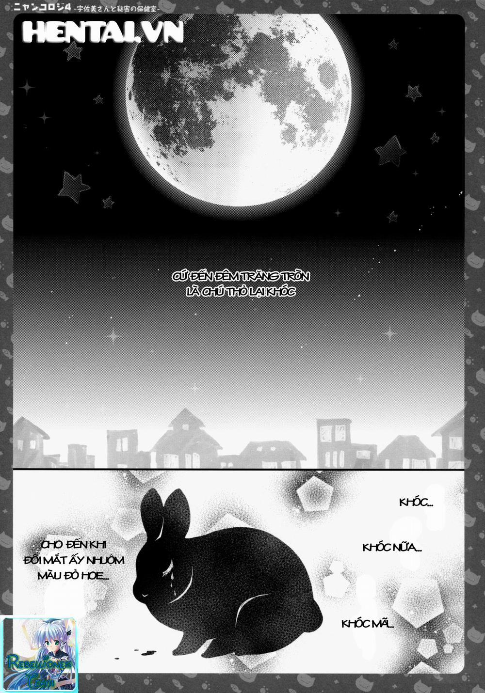 manhwax10.com - Truyện Manhwa Nyancologysan Series Chương Nyancology 4 Usami san To Himitsu no Hokenshitsu Trang 5