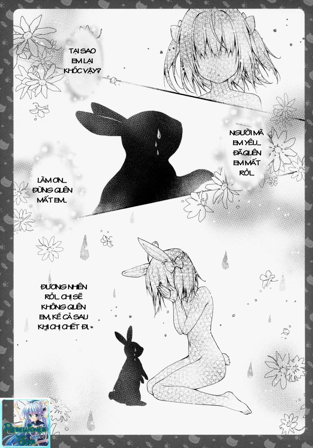 manhwax10.com - Truyện Manhwa Nyancologysan Series Chương Nyancology 4 Usami san To Himitsu no Hokenshitsu Trang 6