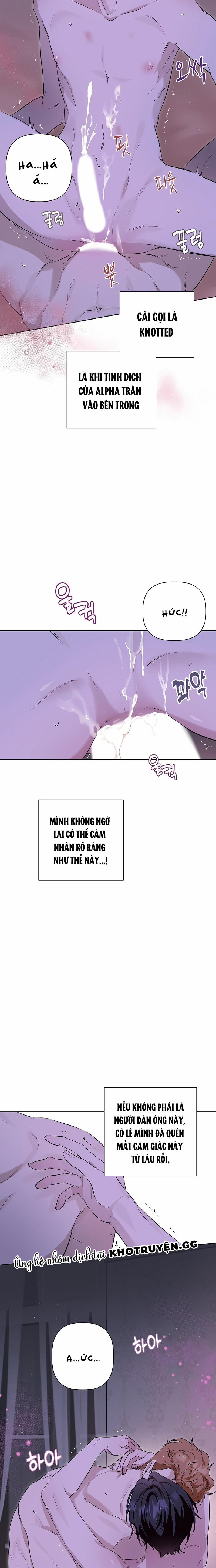 manhwax10.com - Truyện Manhwa Omega Hoàn Hảo Chương 7 Trang 7