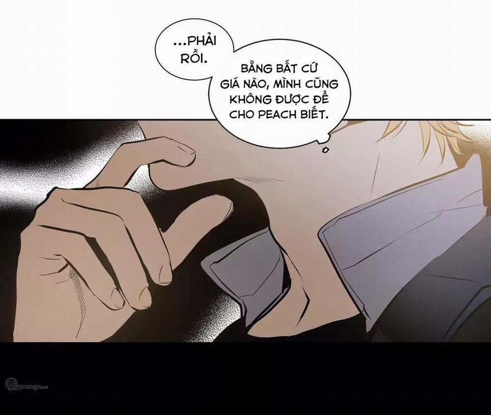 manhwax10.com - Truyện Manhwa Peach Love (Đại Ca Học Đường Và Quân Đoàn Love) Chương 25 Trang 37