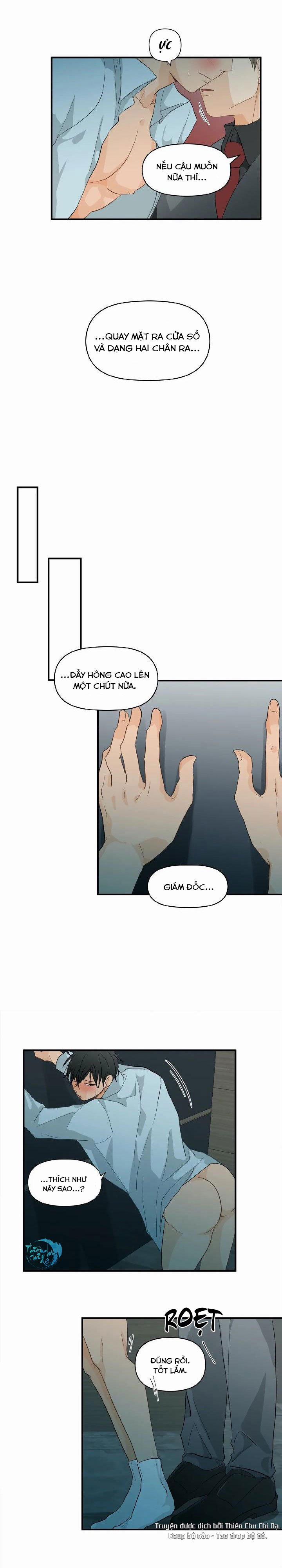 manhwax10.com - Truyện Manhwa Phi Thường Hoàn Mỹ Chương 5 Trang 6