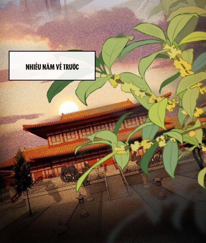 manhwax10.com - Truyện Manhwa Phu Quân, Làm Ơn Để Ta Yên! Chương 79 Trang 17