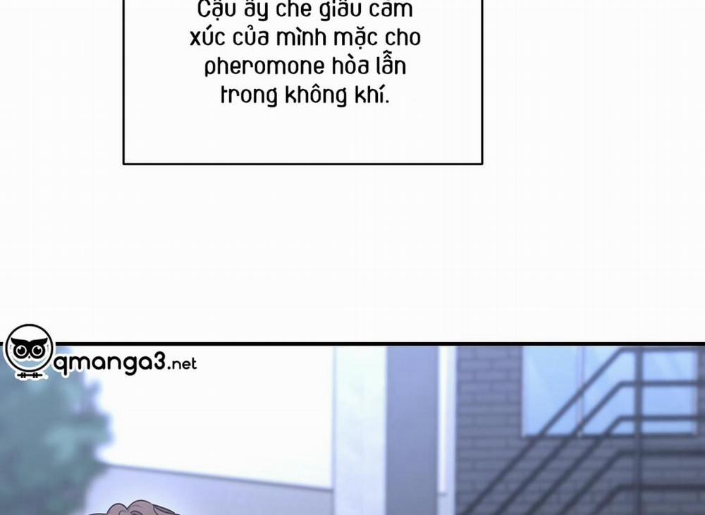 manhwax10.com - Truyện Manhwa Phức Cảm Tự Ti Của Omega Chương 26 Trang 19