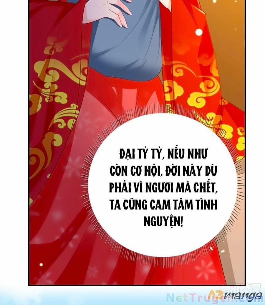 manhwax10.com - Truyện Manhwa Phượng Ngự Tà Vương Chương 67 Trang 19