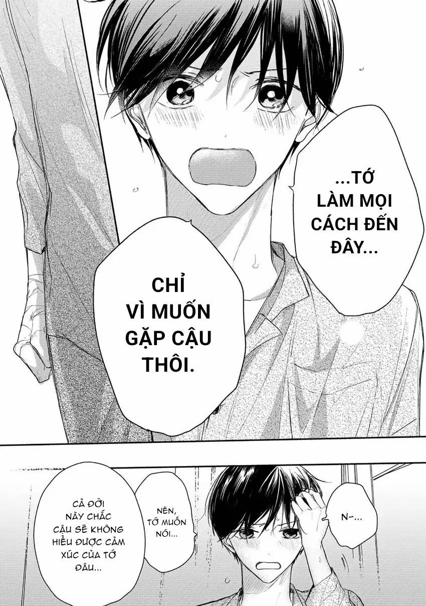 manhwax10.com - Truyện Manhwa Pittosporum-Shino Makami Chương 11 Trang 12