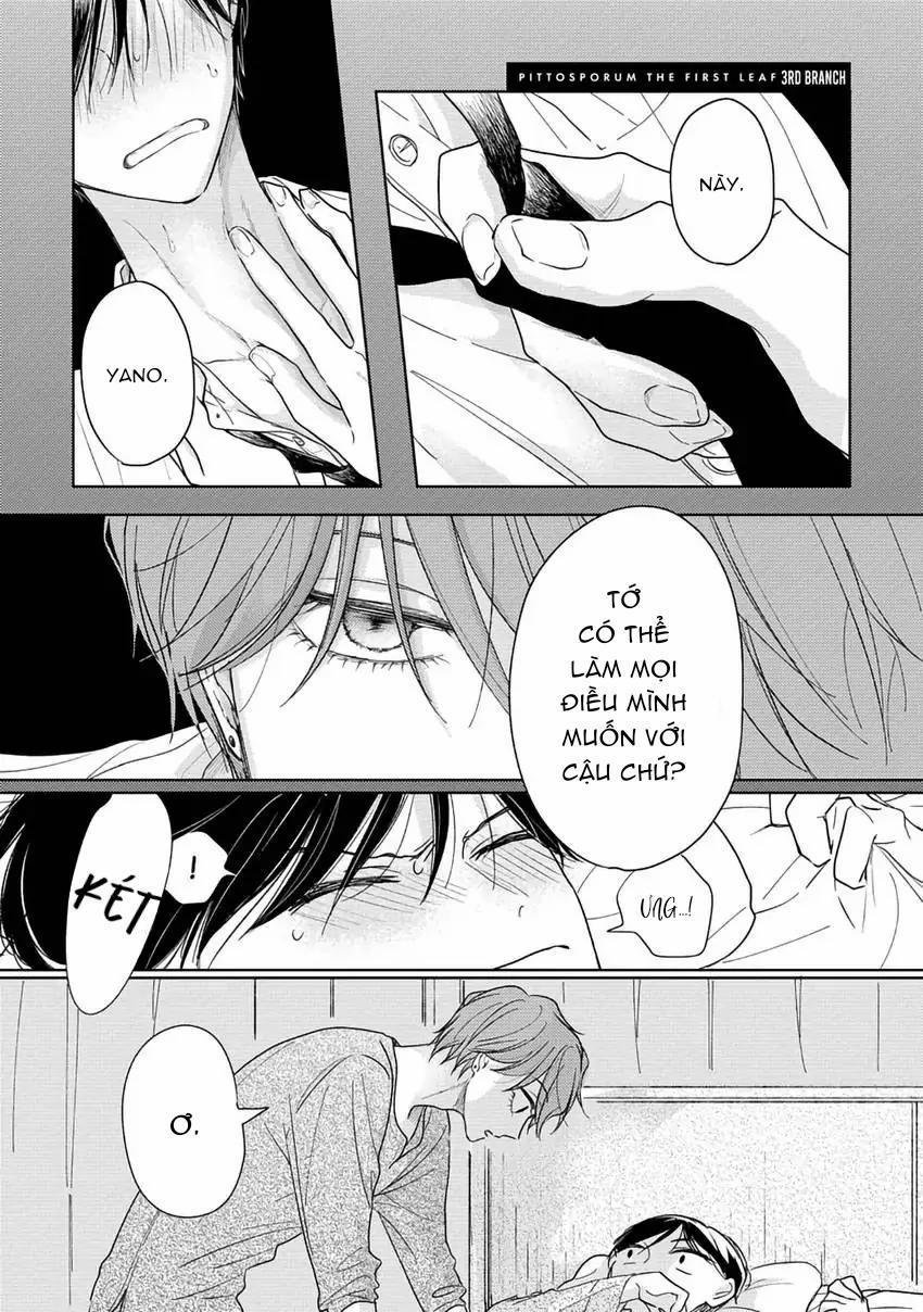 manhwax10.com - Truyện Manhwa Pittosporum-Shino Makami Chương 3 Trang 1