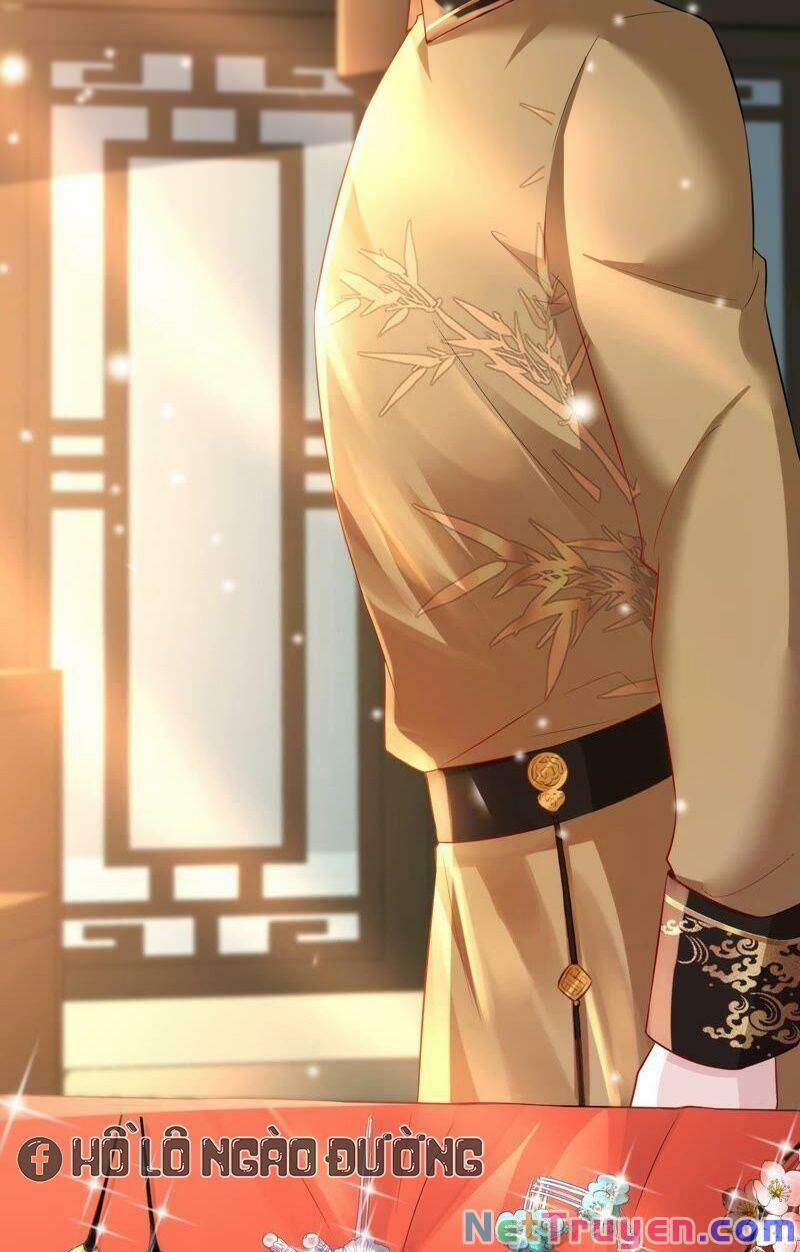 manhwax10.com - Truyện Manhwa Quân Chủ Ổn Trụ Chương 62 Trang 8