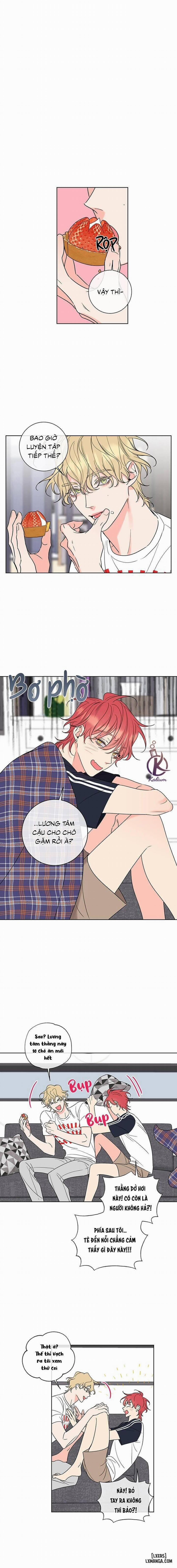 manhwax10.com - Truyện Manhwa Rắc rối ngọt ngào - Honey trouble Chương 6 Trang 1