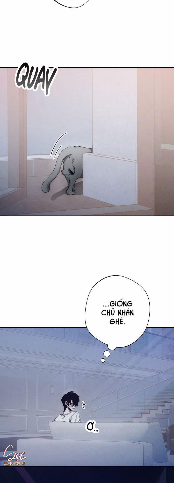 manhwax10.com - Truyện Manhwa Red Mansion Chương 4 Trang 19